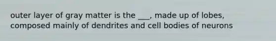 outer layer of gray matter is the ___, made up of lobes, composed mainly of dendrites and cell bodies of neurons