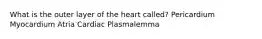 What is the outer layer of the heart called? Pericardium Myocardium Atria Cardiac Plasmalemma