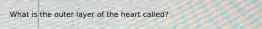 What is the outer layer of the heart called?