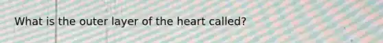 What is the outer layer of the heart called?