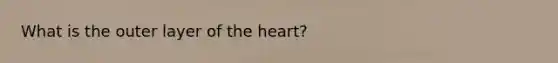 What is the outer layer of the heart?