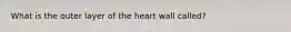 What is the outer layer of the heart wall called?