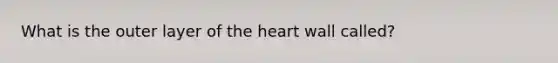 What is the outer layer of <a href='https://www.questionai.com/knowledge/kya8ocqc6o-the-heart' class='anchor-knowledge'>the heart</a> wall called?