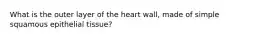 What is the outer layer of the heart wall, made of simple squamous epithelial tissue?