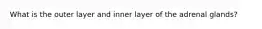 What is the outer layer and inner layer of the adrenal glands?