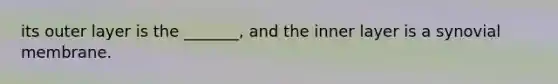 its outer layer is the _______, and the inner layer is a synovial membrane.
