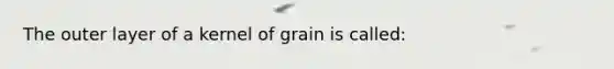 The outer layer of a kernel of grain is called: