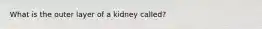 What is the outer layer of a kidney called?