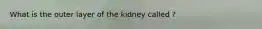 What is the outer layer of the kidney called ?