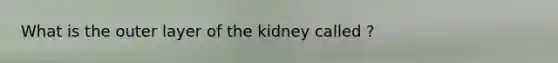 What is the outer layer of the kidney called ?