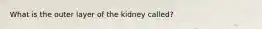 What is the outer layer of the kidney called?