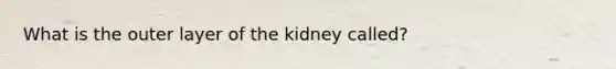 What is the outer layer of the kidney called?