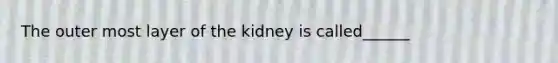 The outer most layer of the kidney is called______