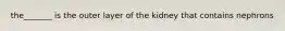 the_______ is the outer layer of the kidney that contains nephrons
