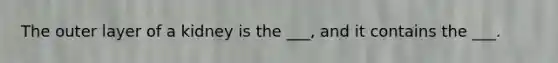 The outer layer of a kidney is the ___, and it contains the ___.