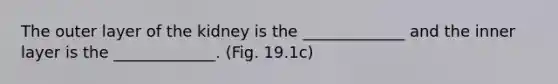 The outer layer of the kidney is the _____________ and the inner layer is the _____________. (Fig. 19.1c)