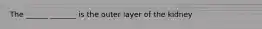 The ______ _______ is the outer layer of the kidney