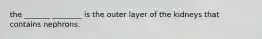 the _______ ________ is the outer layer of the kidneys that contains nephrons.