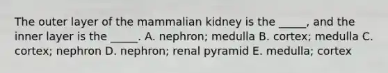 The outer layer of the mammalian kidney is the _____, and the inner layer is the _____. A. nephron; medulla B. cortex; medulla C. cortex; nephron D. nephron; renal pyramid E. medulla; cortex