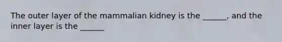 The outer layer of the mammalian kidney is the ______, and the inner layer is the ______