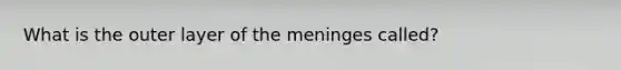 What is the outer layer of the meninges called?