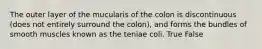 The outer layer of the mucularis of the colon is discontinuous (does not entirely surround the colon), and forms the bundles of smooth muscles known as the teniae coli. True False