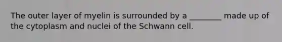 The outer layer of myelin is surrounded by a ________ made up of the cytoplasm and nuclei of the Schwann cell.