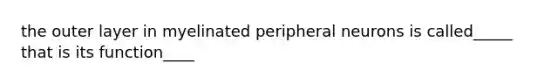 the outer layer in myelinated peripheral neurons is called_____ that is its function____