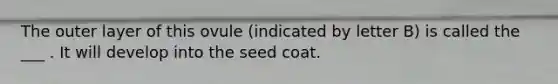 The outer layer of this ovule (indicated by letter B) is called the ___ . It will develop into the seed coat.