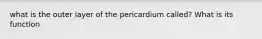 what is the outer layer of the pericardium called? What is its function