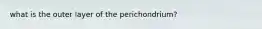 what is the outer layer of the perichondrium?