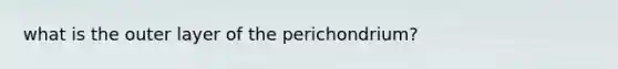 what is the outer layer of the perichondrium?