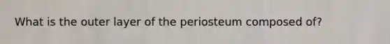 What is the outer layer of the periosteum composed of?