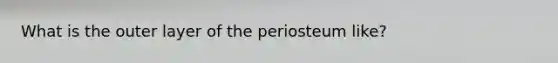 What is the outer layer of the periosteum like?