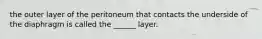 the outer layer of the peritoneum that contacts the underside of the diaphragm is called the ______ layer.