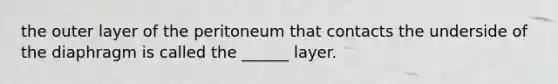 the outer layer of the peritoneum that contacts the underside of the diaphragm is called the ______ layer.