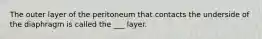 The outer layer of the peritoneum that contacts the underside of the diaphragm is called the ___ layer.