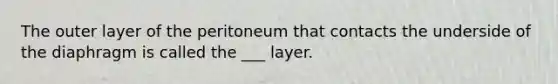 The outer layer of the peritoneum that contacts the underside of the diaphragm is called the ___ layer.