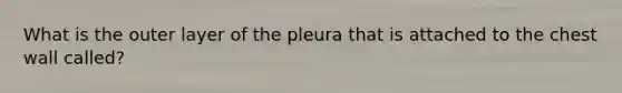 What is the outer layer of the pleura that is attached to the chest wall called?