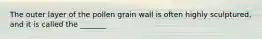 The outer layer of the pollen grain wall is often highly sculptured, and it is called the _______