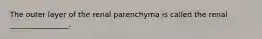 The outer layer of the renal parenchyma is called the renal ________________.