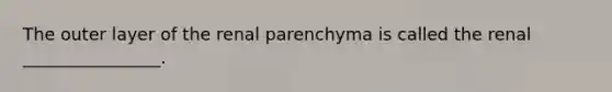 The outer layer of the renal parenchyma is called the renal ________________.