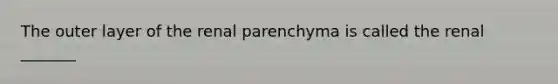 The outer layer of the renal parenchyma is called the renal _______