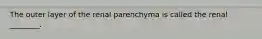 The outer layer of the renal parenchyma is called the renal ________.