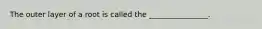 The outer layer of a root is called the ________________.