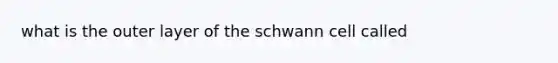 what is the outer layer of the schwann cell called