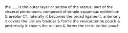 the ___ is the outer layer or serosa of the uterus; part of the visceral peritoneum; composed of simple squamous epithelium & areolar CT; laterally it becomes the broad ligament, anteriorly it covers the urinary bladder & forms the vesicouterine pouch & posteriorly it covers the rectum & forms the rectouterine pouch.