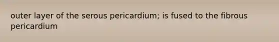 outer layer of the serous pericardium; is fused to the fibrous pericardium