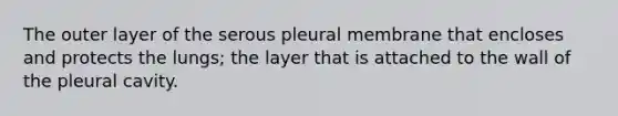 The outer layer of the serous pleural membrane that encloses and protects the lungs; the layer that is attached to the wall of the pleural cavity.