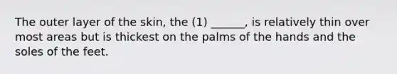 The outer layer of the skin, the (1) ______, is relatively thin over most areas but is thickest on the palms of the hands and the soles of the feet.